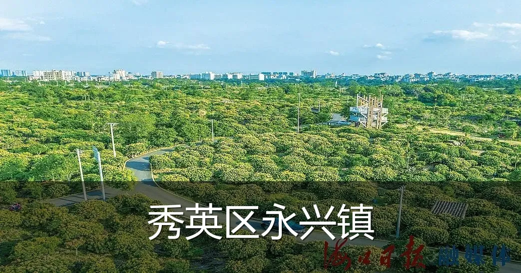 秀英区永兴镇